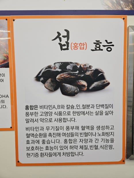 섭 이미지