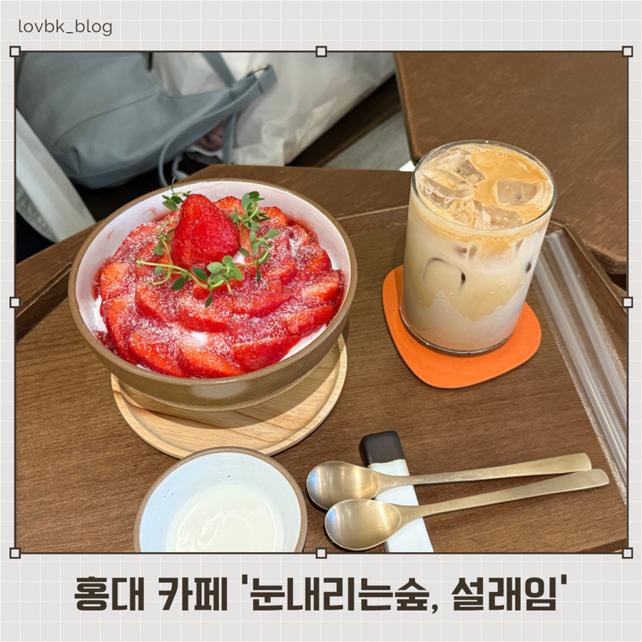눈내리는숲;설래임 이미지