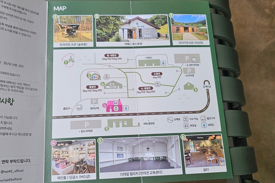 용인 테일45 애견카페, 프라이빗 운동장 교육 후기 — 사진 2