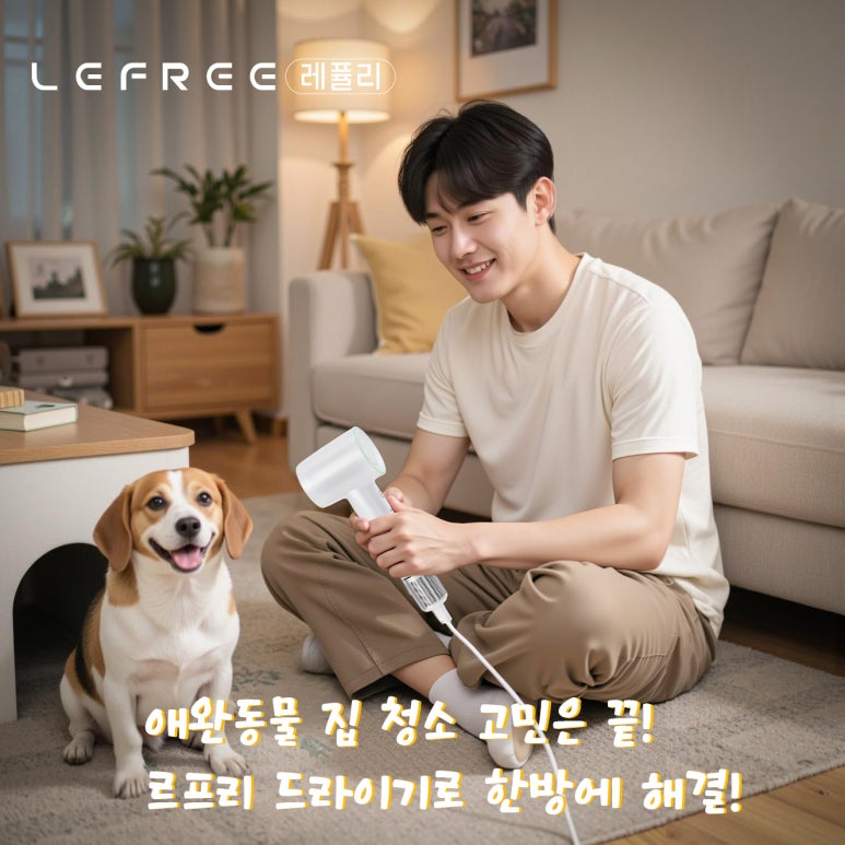 클로버청소 이미지