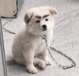 눈썹가게 이미지