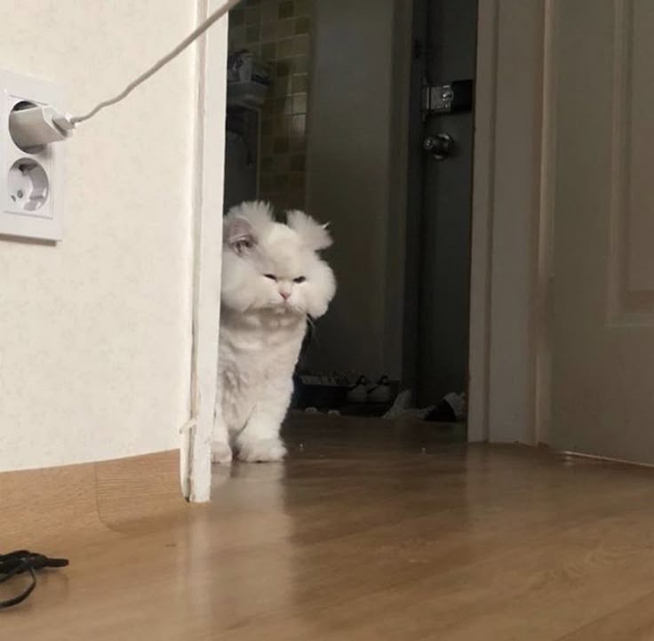 소풍가다 이미지
