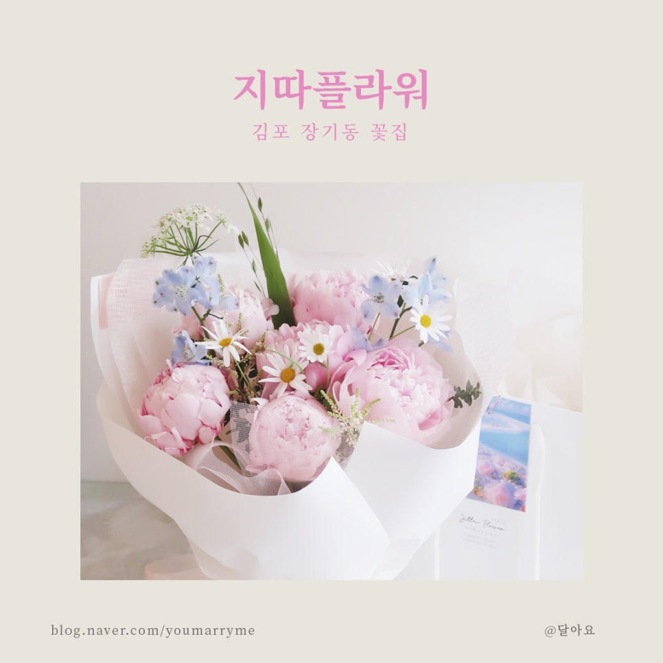 지따플라워 이미지