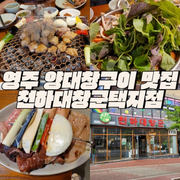 천하양대창구이 이미지
