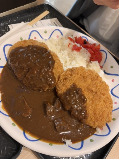 와니카레 이미지