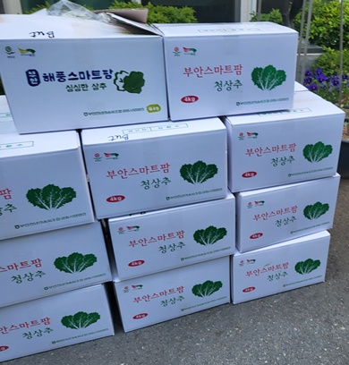 김*수 이미지