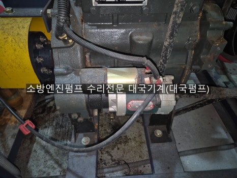 신성부란자 이미지