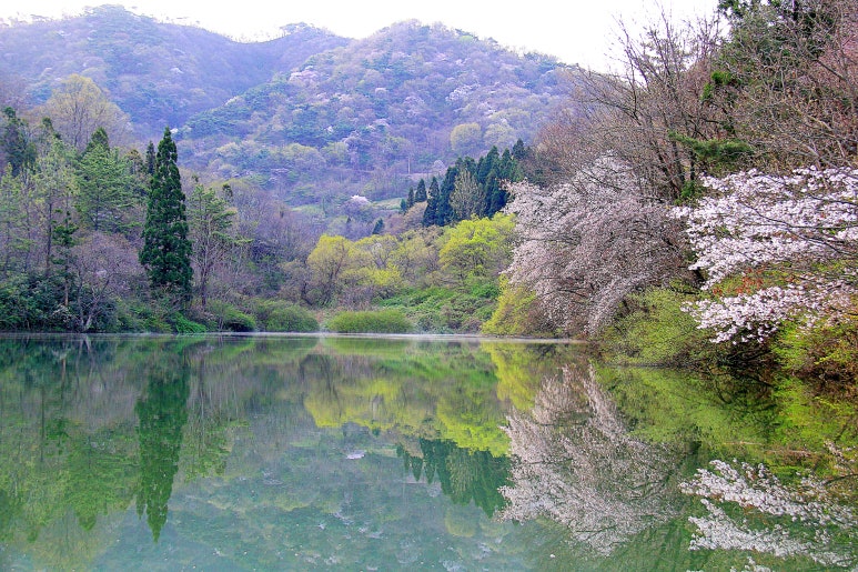 기통찬 이미지