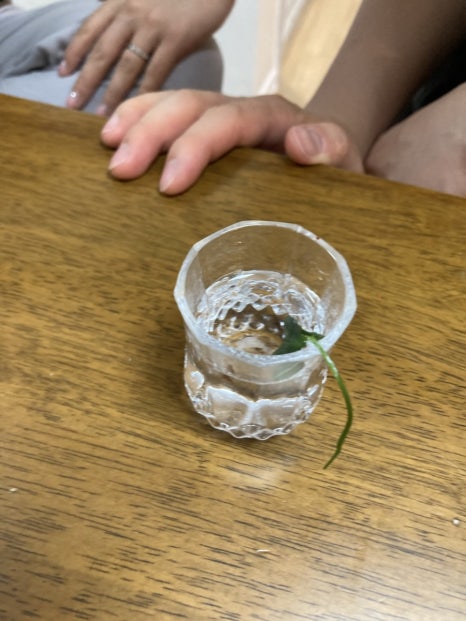 선우손칼국수 이미지