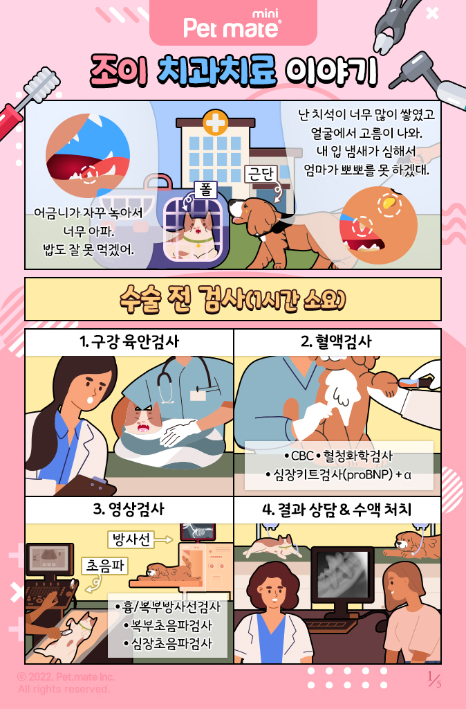 조이치과 이미지