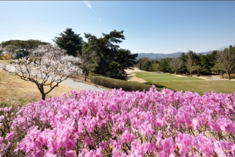 서울냉삼 이미지