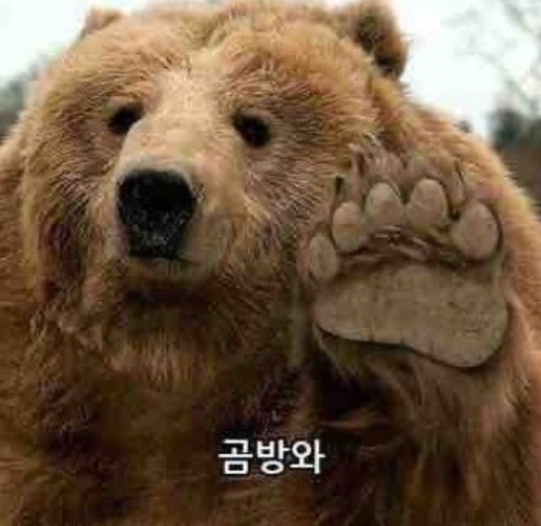 후꾸 이미지