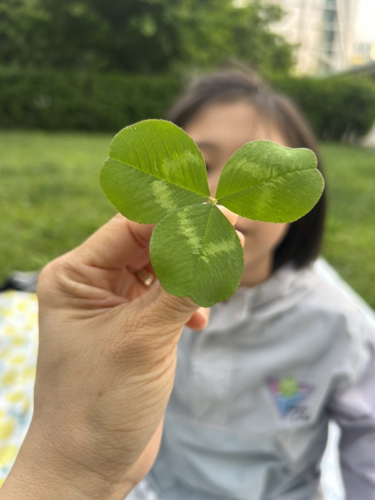 모모샘 이미지