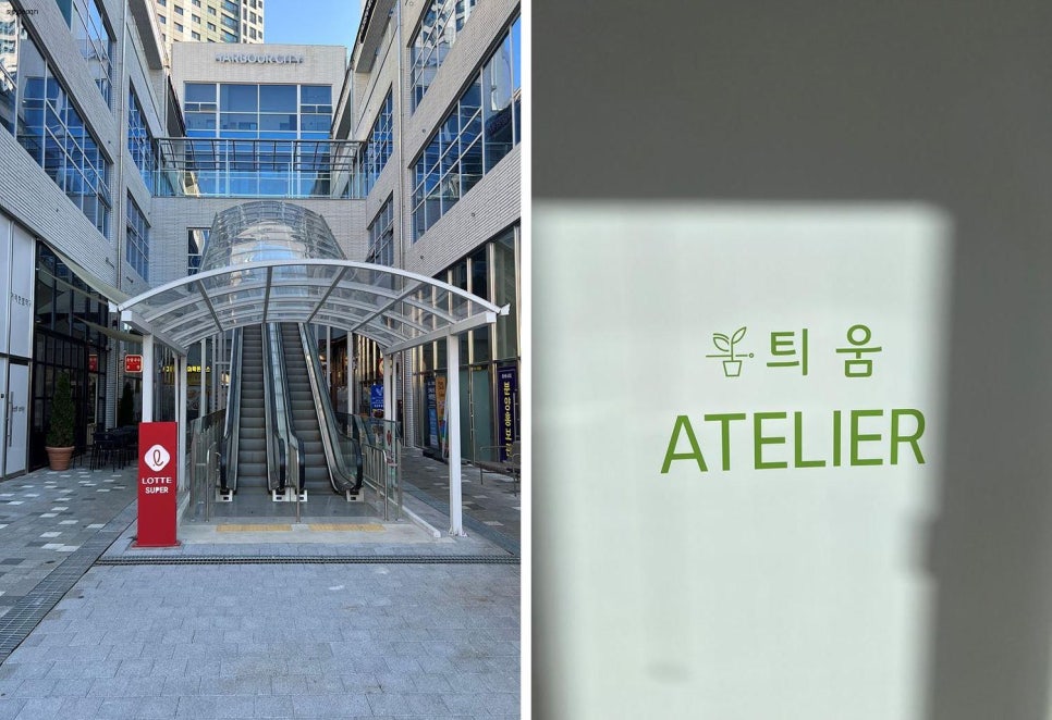 틔움헤어 이미지