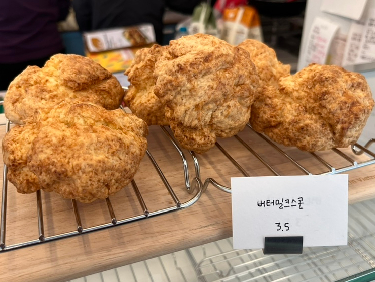 디소네 이미지