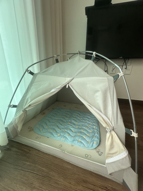 댕댕이애견가족펜션블랙 이미지