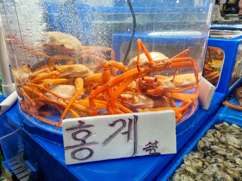 동선수산 이미지