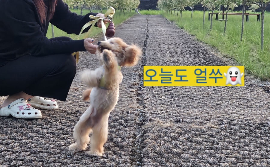 고집 이미지