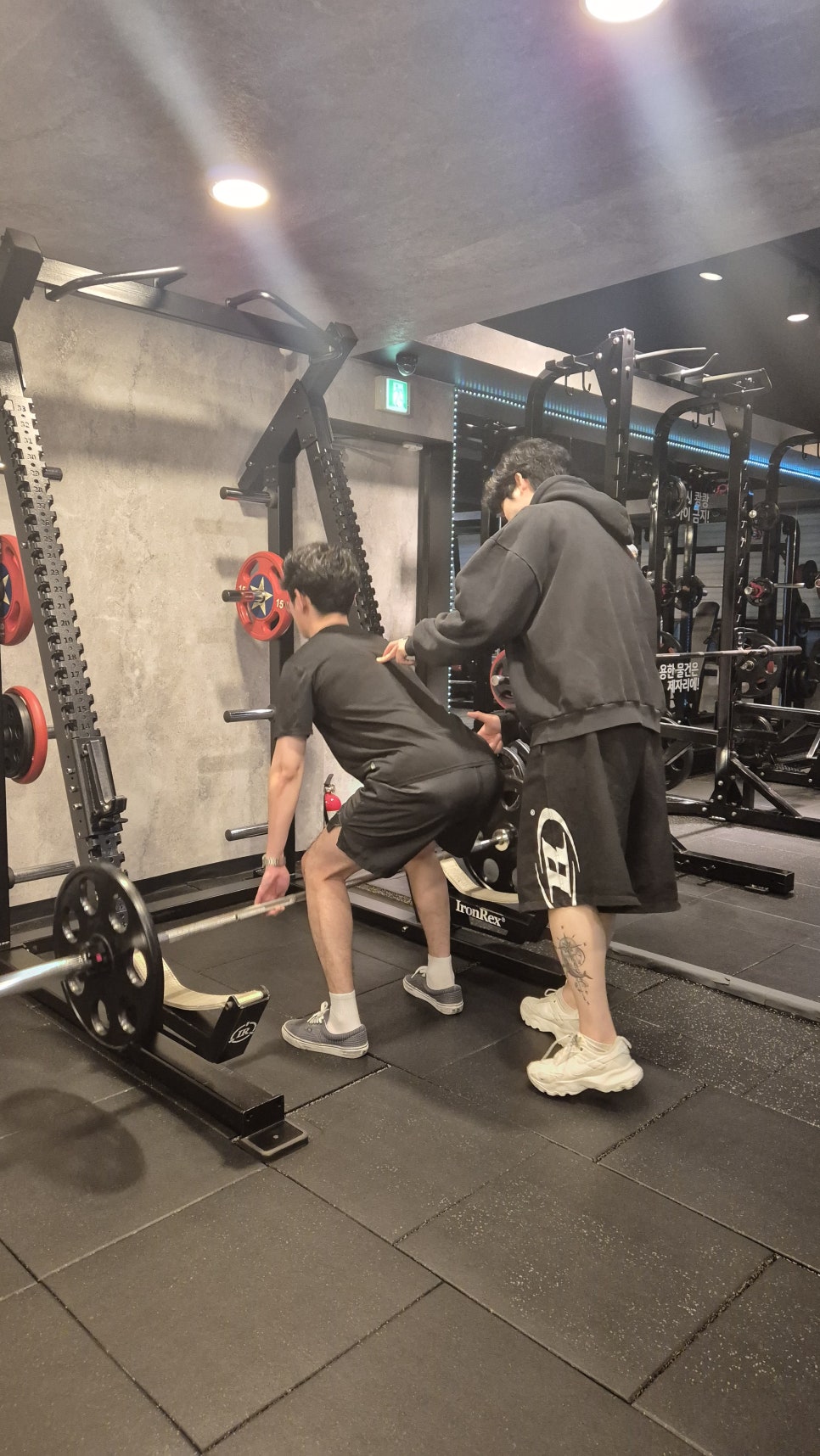 펠리스짐 이미지