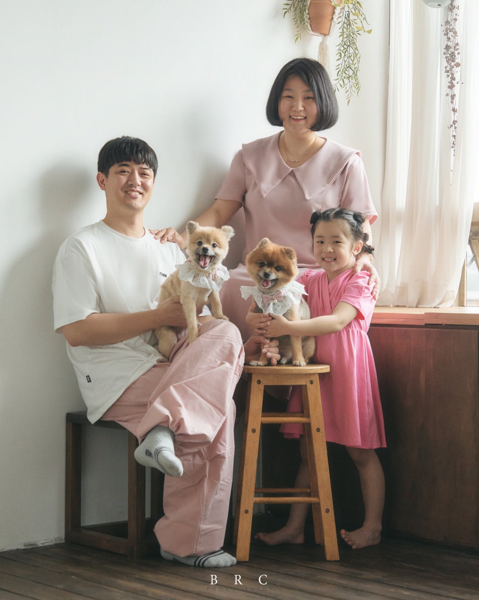 브로콜리스튜디오 이미지