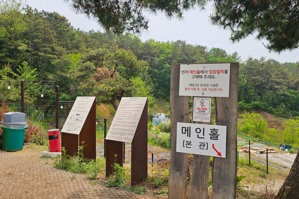 용인 테일45 애견카페, 프라이빗 운동장 교육 후기 — 사진 3