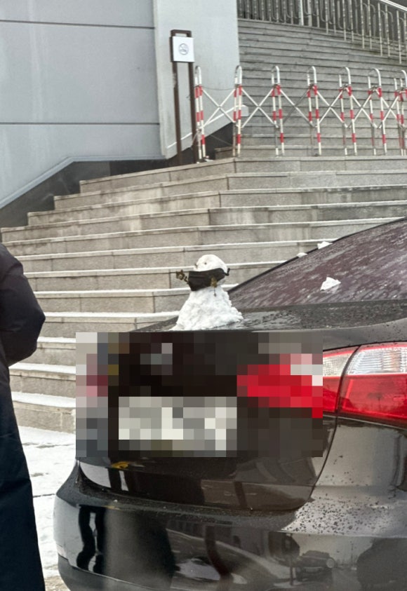 머스트루 이미지