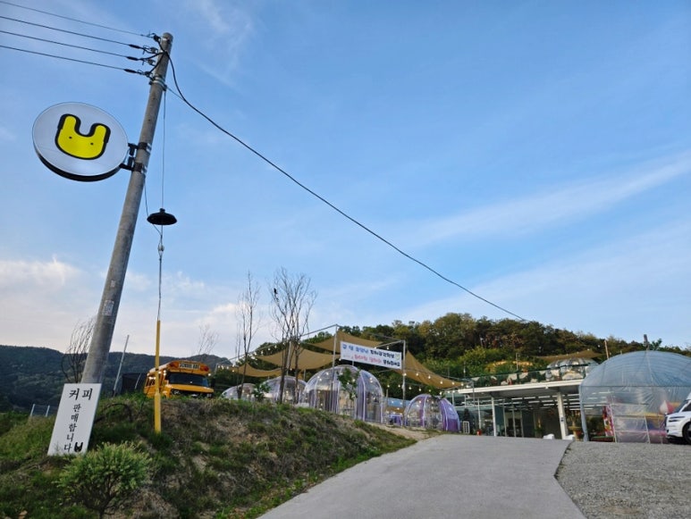 옐로우레빗츠 이미지