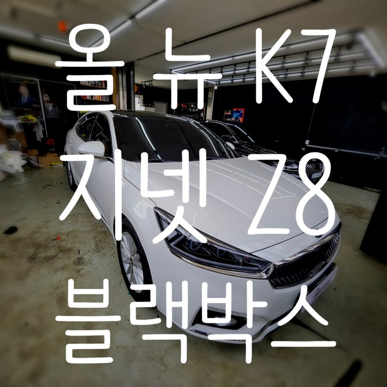광쓰게러지 이미지