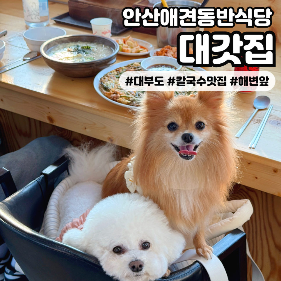 대갓집해물왕창칼국수 이미지