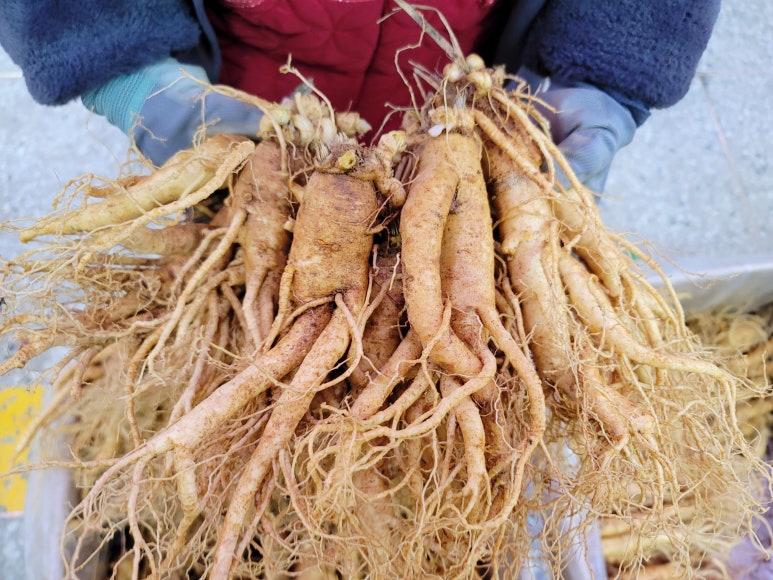 금산수삼시장(주) 이미지