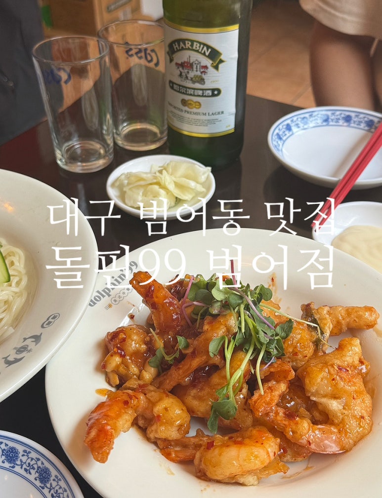 돌핀99 이미지