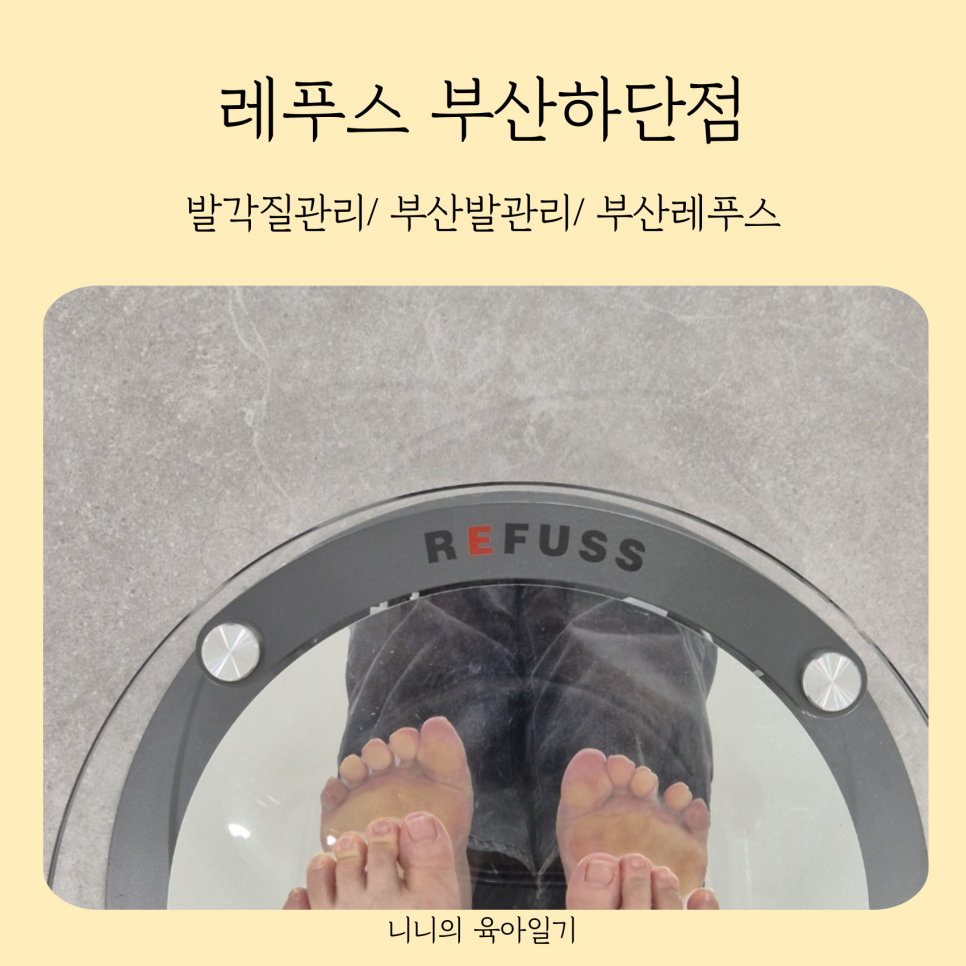 사하풋 이미지