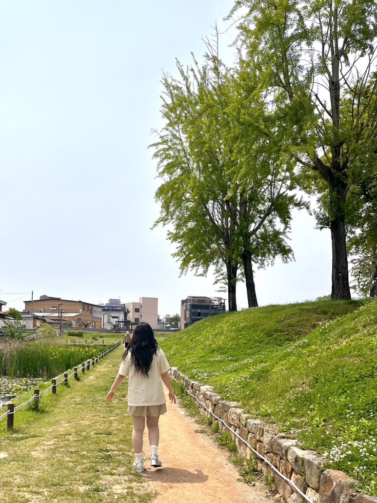금성관광주 이미지