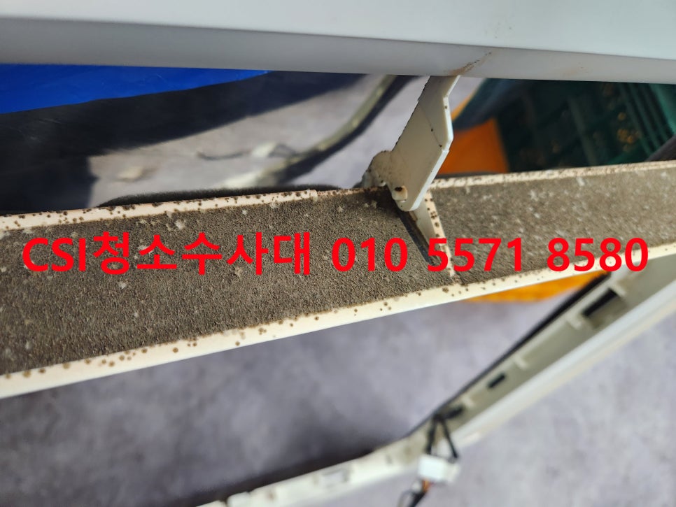 CSI청소수사대 이미지