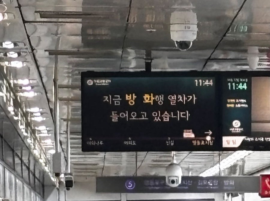 청객 이미지