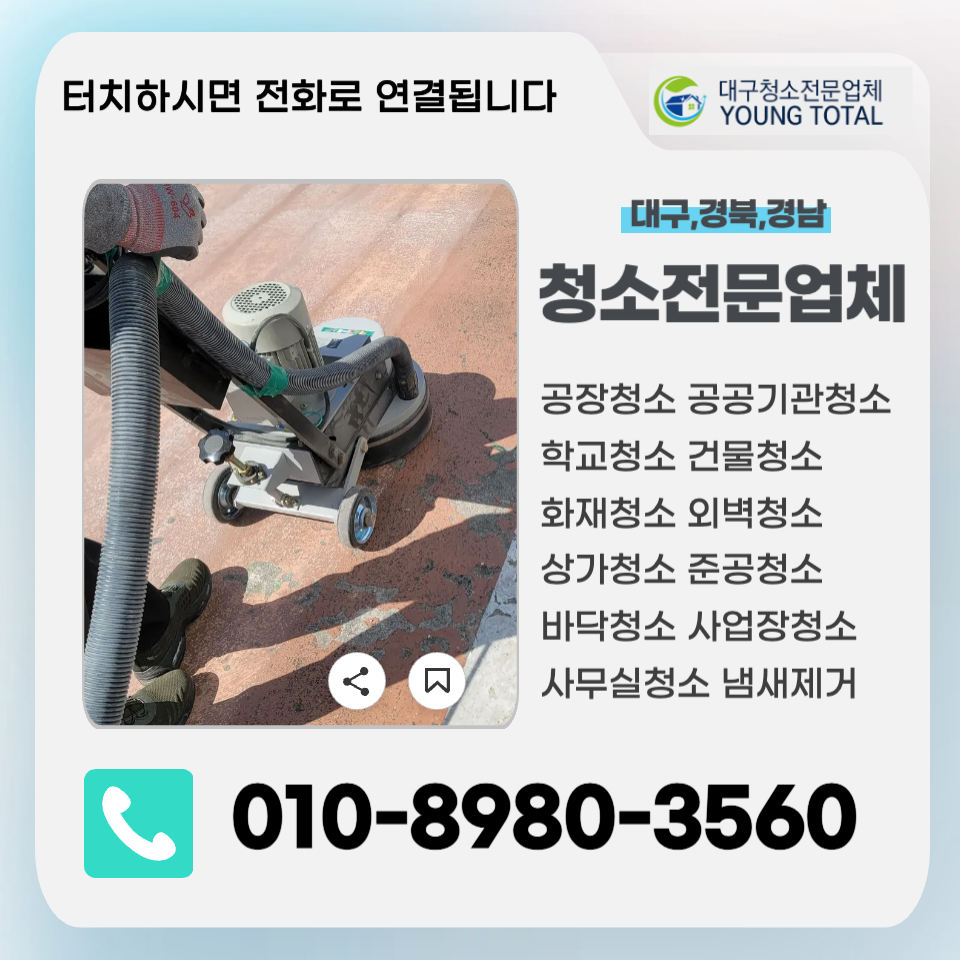 영토탈 이미지