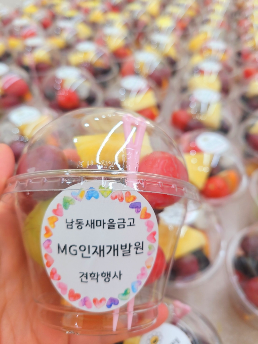 아담하다 이미지