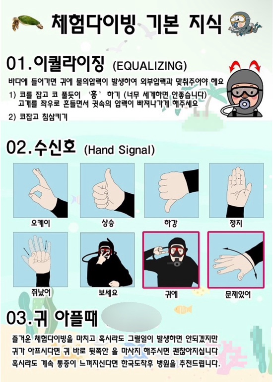 보홀로드 이미지