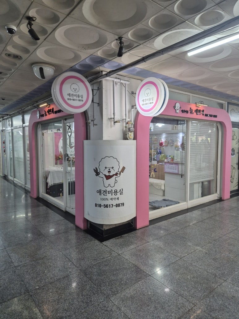 늘;예쁘게 이미지
