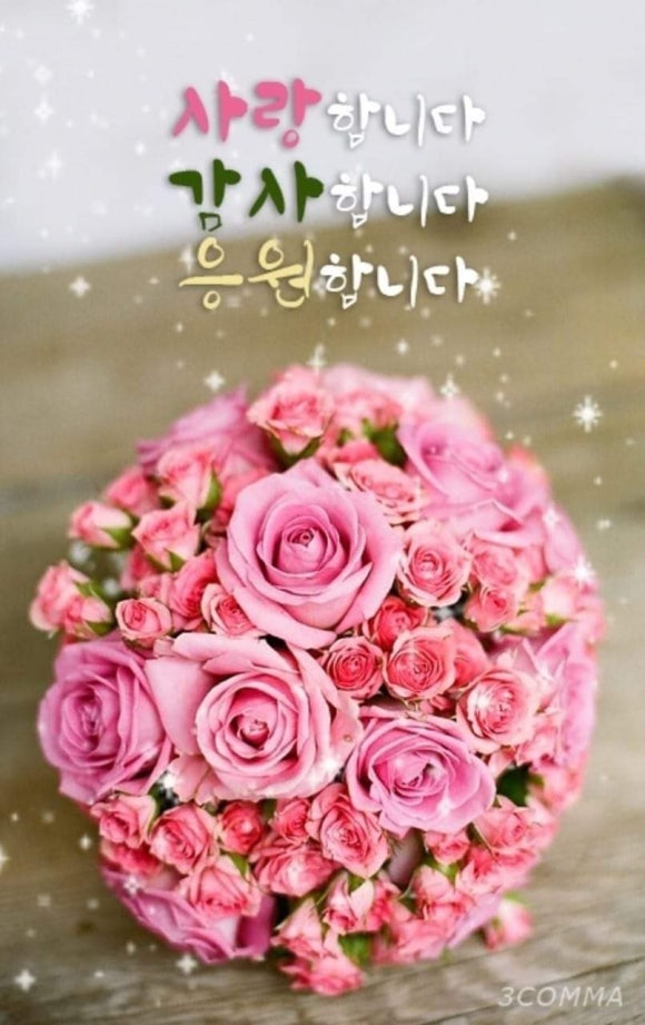오늘, 꽃데이 이미지