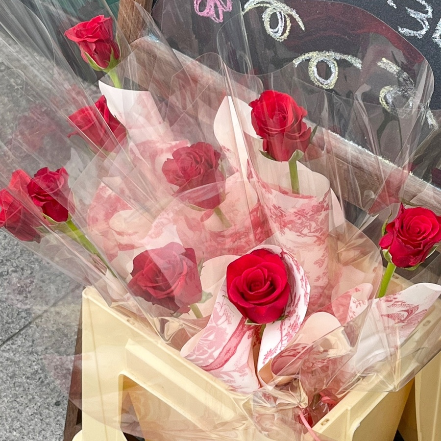 여리들 이미지