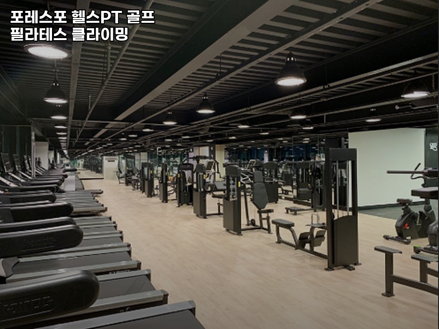 포레스포 이미지