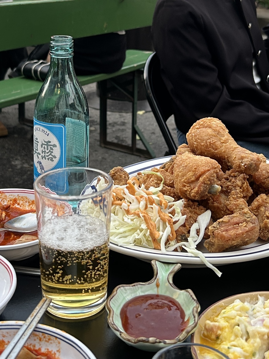 디스코포차 이미지