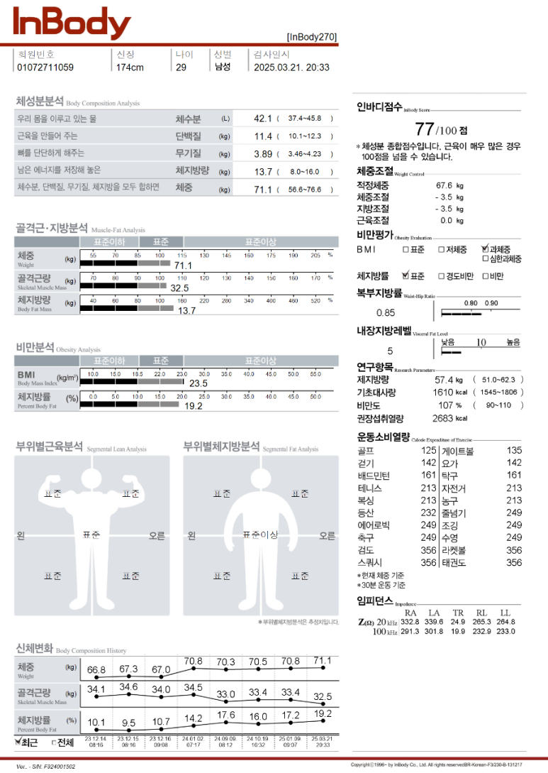 파틀렉 이미지