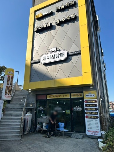 돼지3남매 이미지