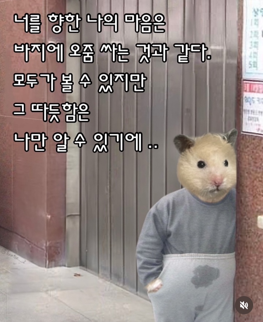 가현김밥 이미지
