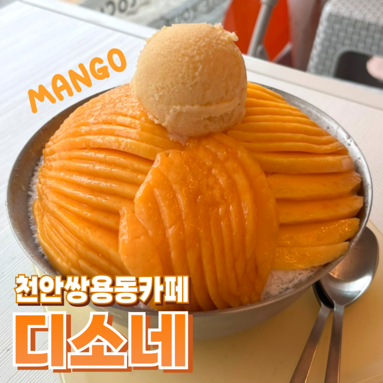 디소네 이미지