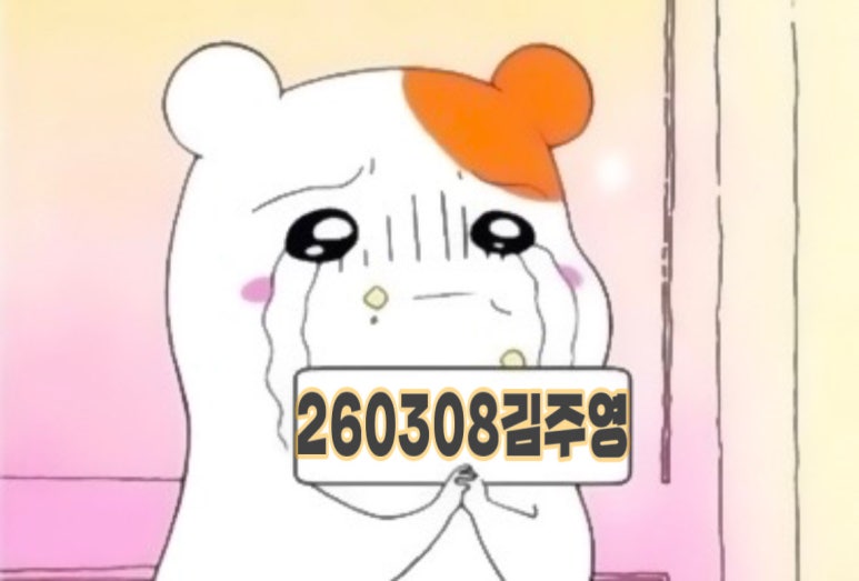 더메이 이미지