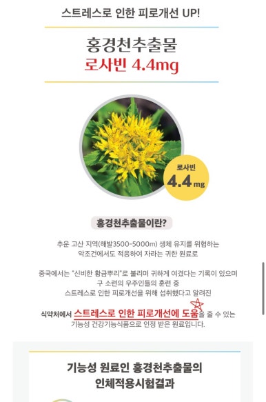 셀포랩스타 이미지