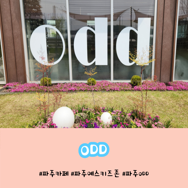 오오디 이미지